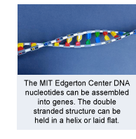 DNA