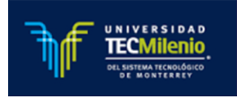 Tecmilineo